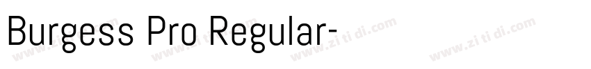 Burgess Pro Regular字体转换